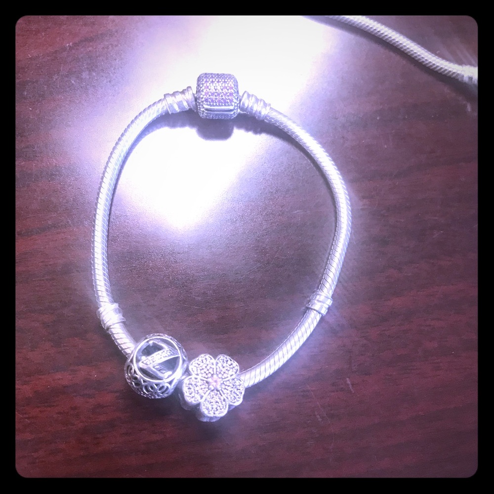 Pandora Bracelet